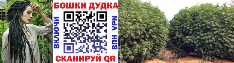 Сколько стоит Малая Вишера Марихуана  Меф 