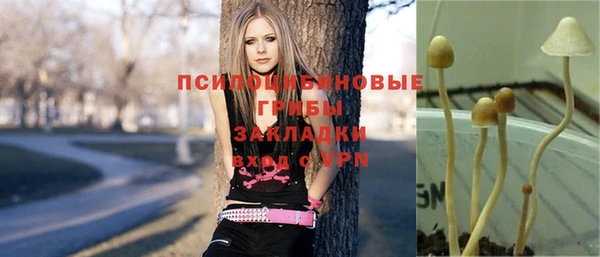 меф Медвежьегорск
