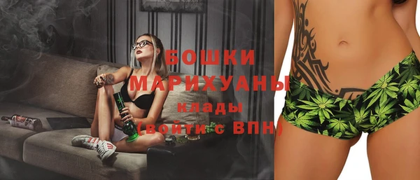 сатива Медногорск