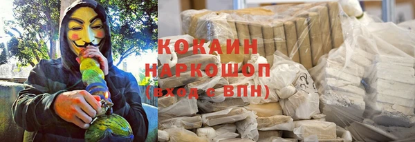 сатива Медногорск
