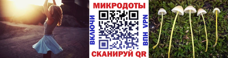 Галлюциногенные грибы ЛСД  Малая Вишера 